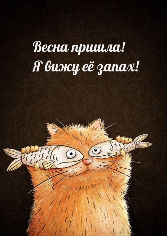 Весна пришла! Я вижу её запах!