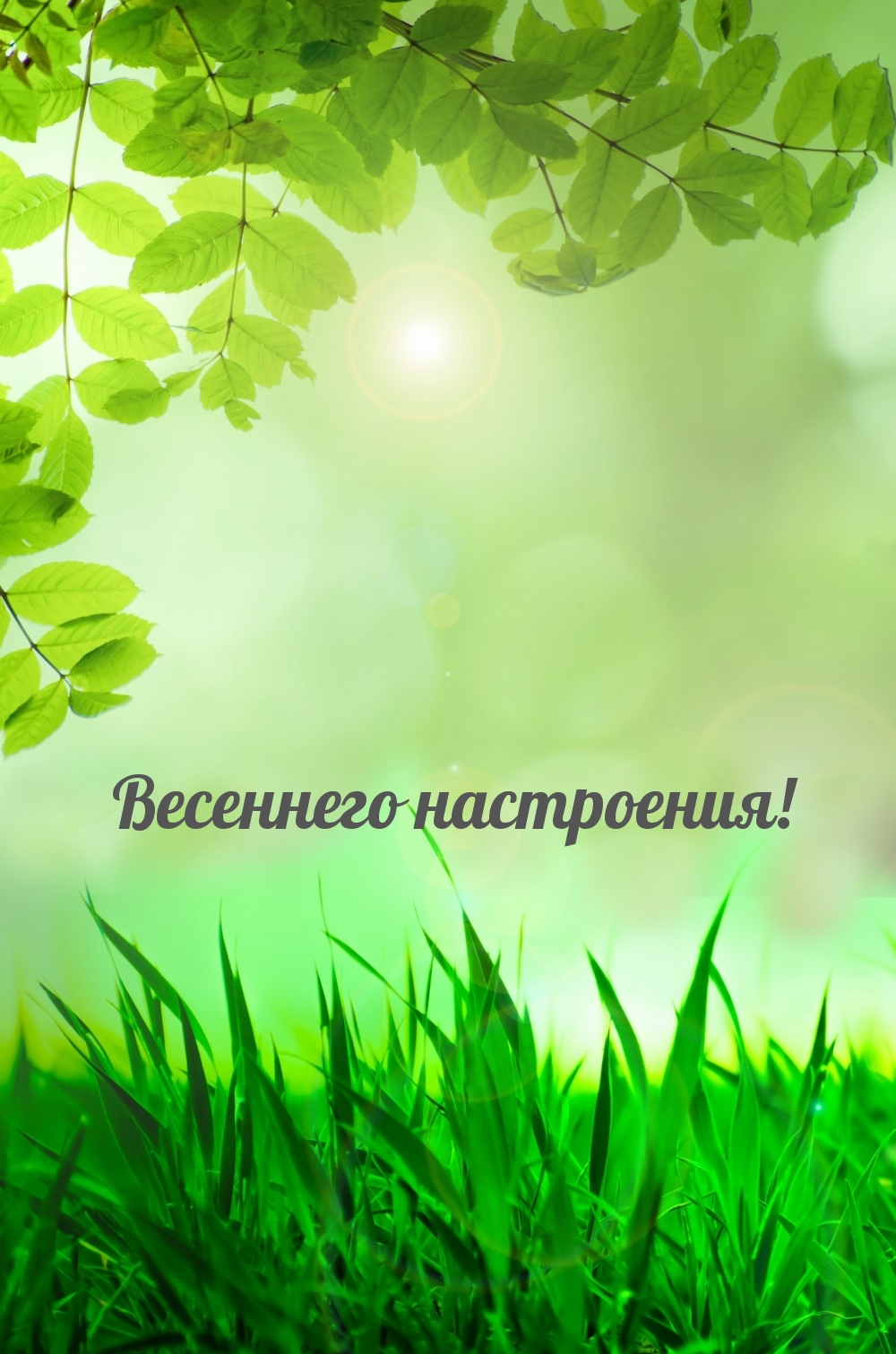 Весеннего настроения!
