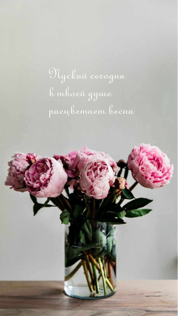 Пускай сегодня в твоей душе расцветает весна
