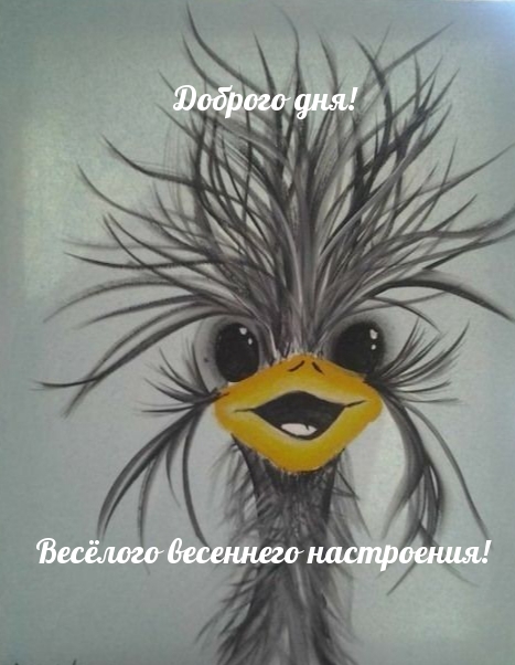 Доброго дня! Весёлого весеннего настроения!