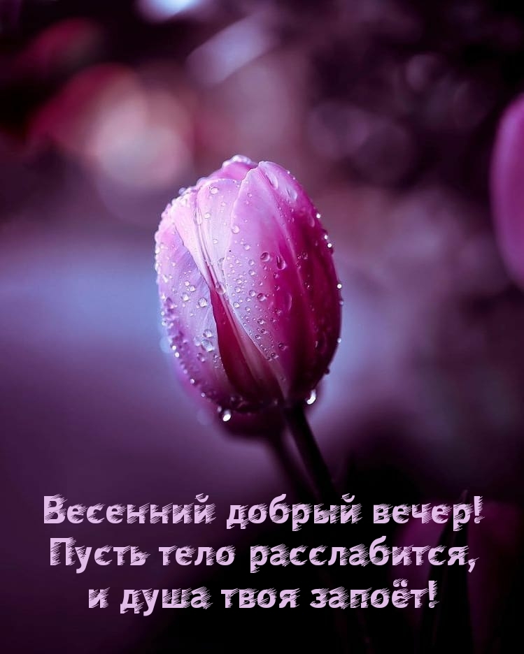 Весенний добрый вечер! Пусть тело расслабится