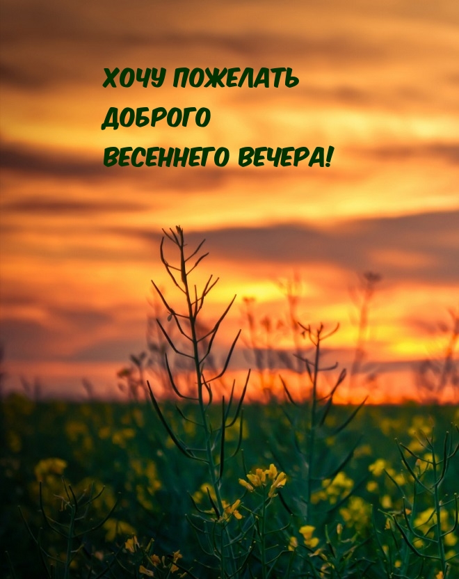 хочу пожелать Доброго весеннего вечера!