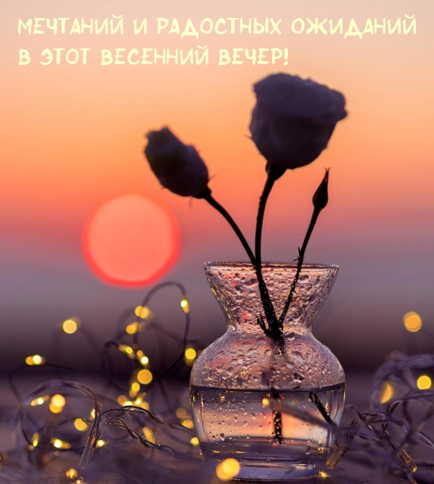 Мечтаний и радостных ожиданий в этот весенний вечер!
