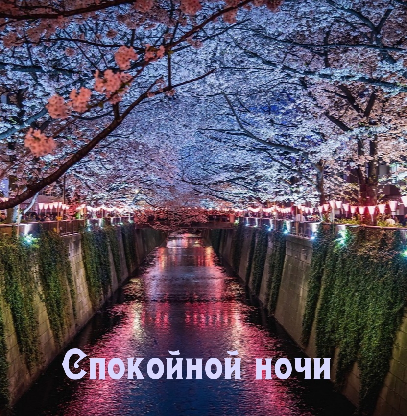 Спокойной ночи