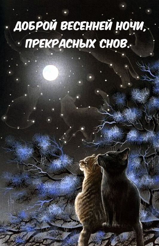 Доброй весенней ночи, прекрасных снов.