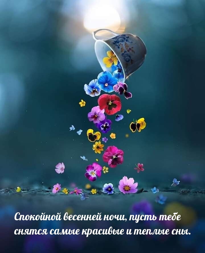 Спокойной весенней ночи, пусть тебе снятся самые красивые сны