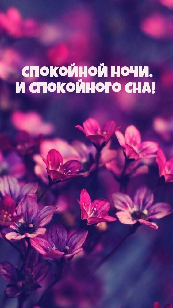 Спокойной ночи и спокойного сна!