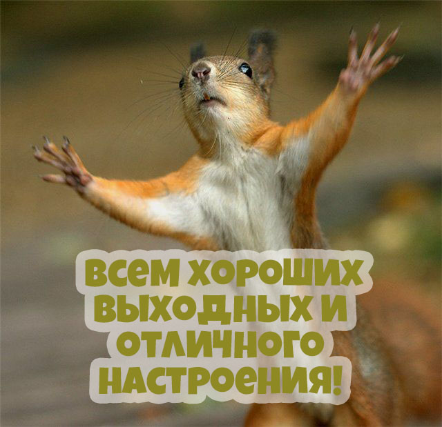 Всем хороших выходных и отличного настроения!
