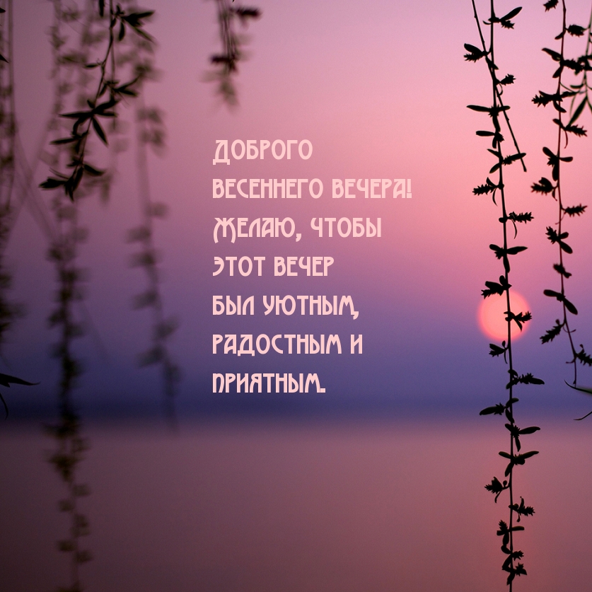 Желаю чтобы этот весенний вечер был уютным