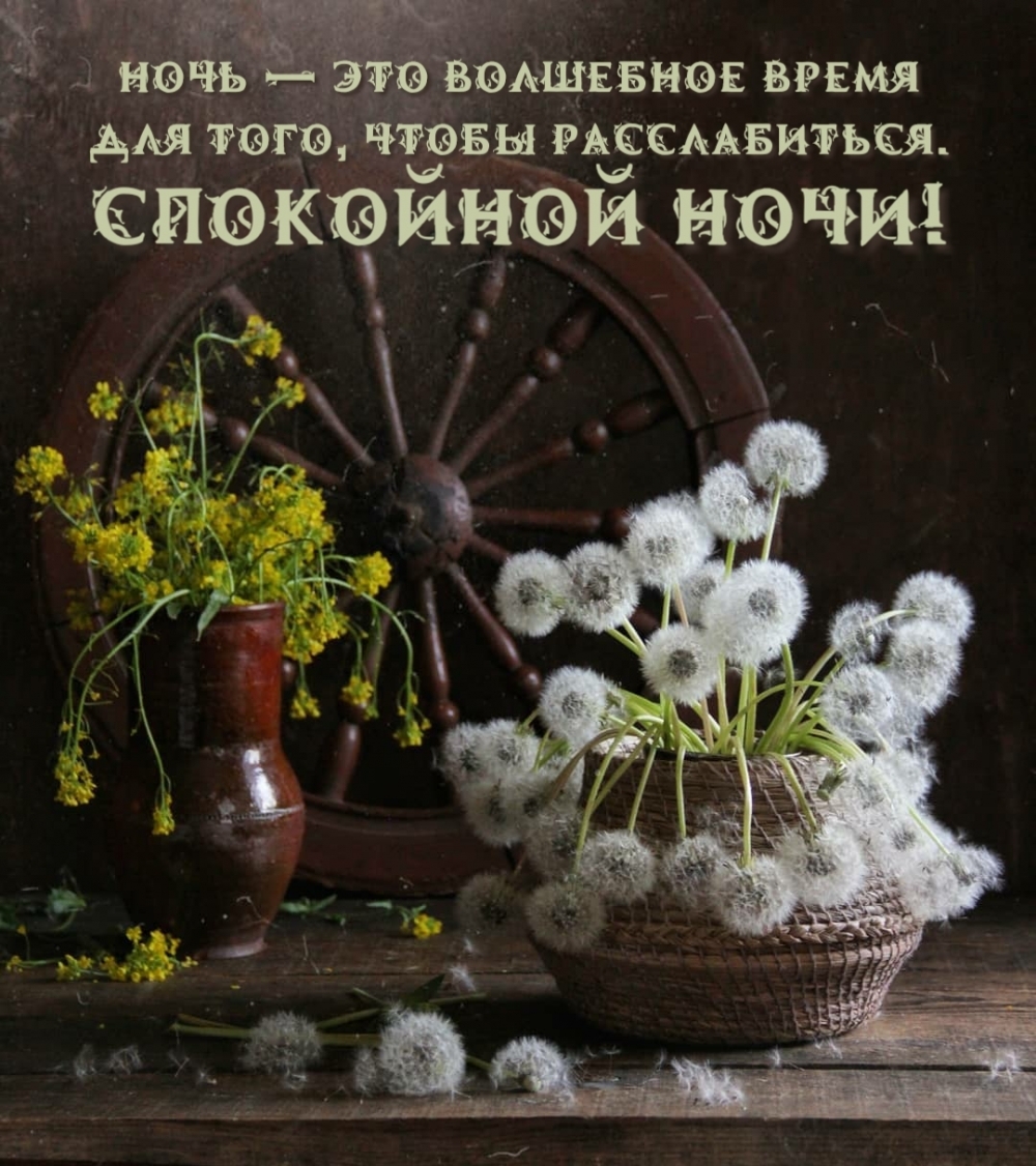 Ночь — это волшебное время для того, чтобы расслабиться.
