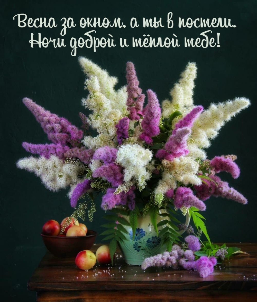 Весна за окном, а ты в постели. Ночи доброй и тёплой тебе!