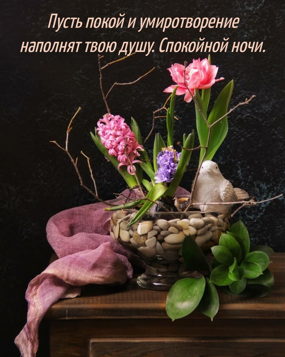 Пусть умиротворение наполнит твою душу. Спокойной ночи.