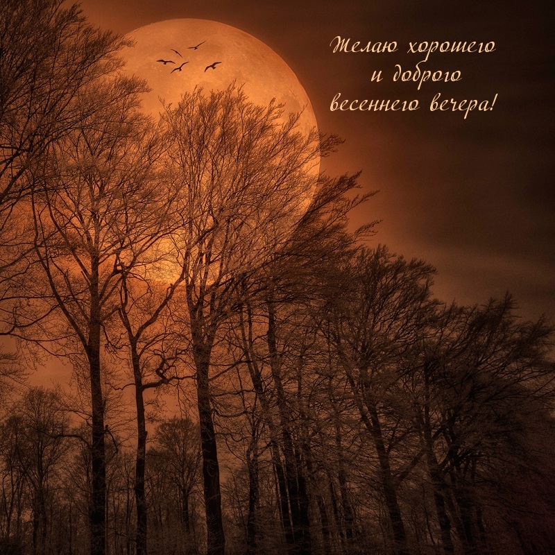 Желаю хорошего и доброго весеннего вечера!