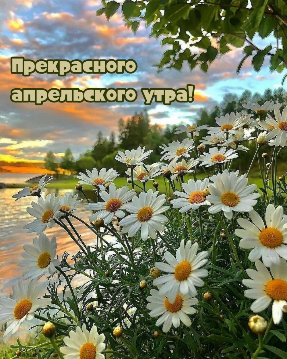 Прекрасного апрельского утра!