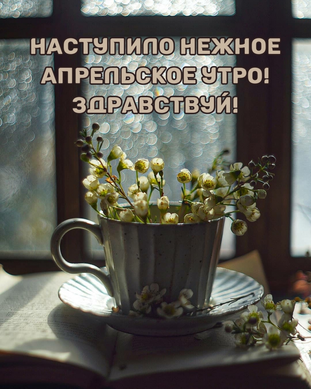 Наступило нежное апрельское утро! Здравствуй!