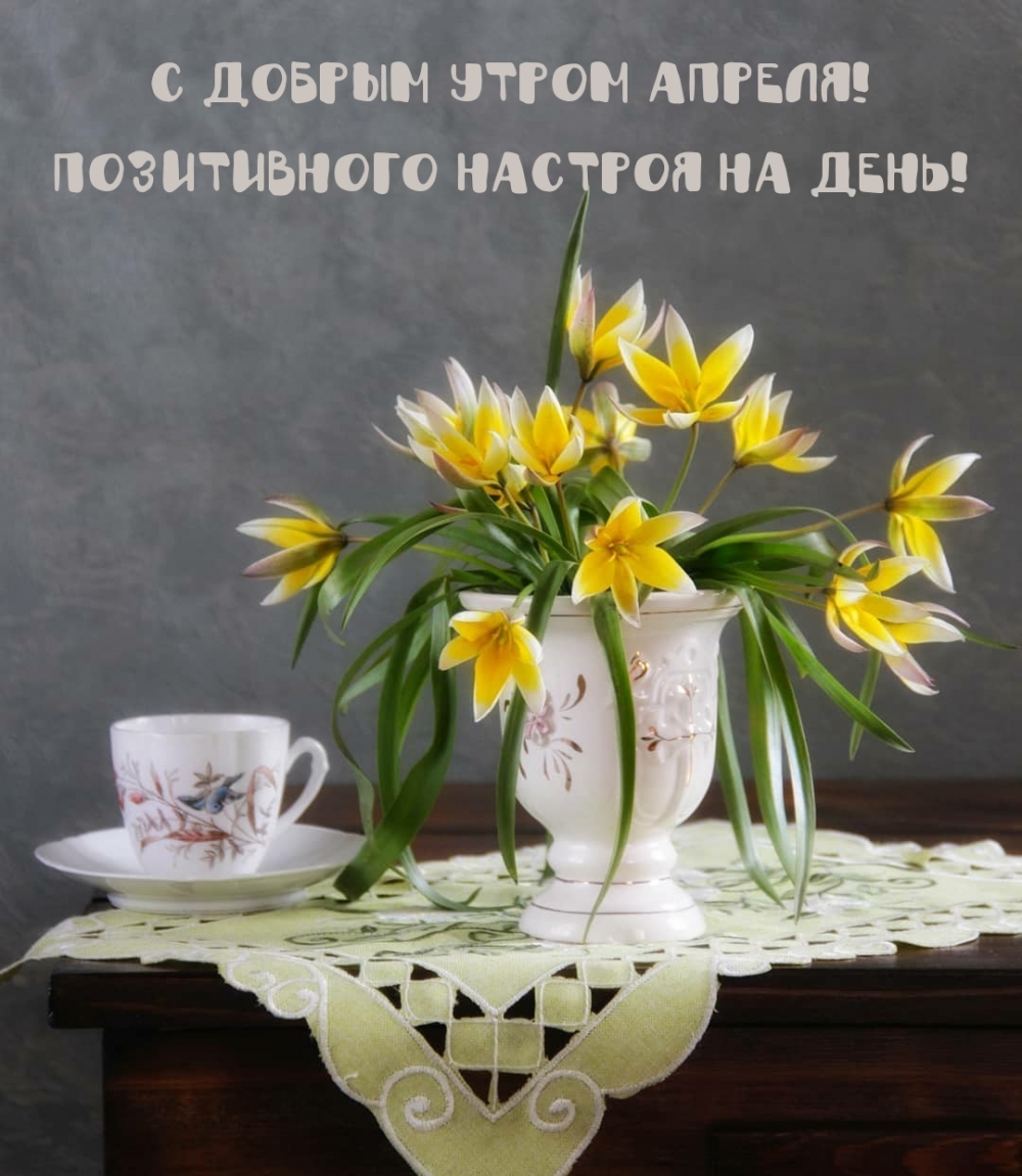 С добрым утром апреля! Позитивного настроя на день!