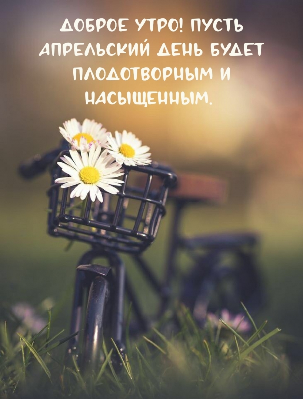 Доброе утро! Пусть апрельский день будет плодотворным