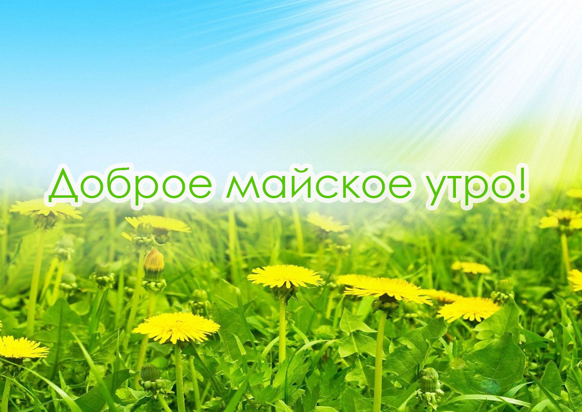Доброе майское утро!