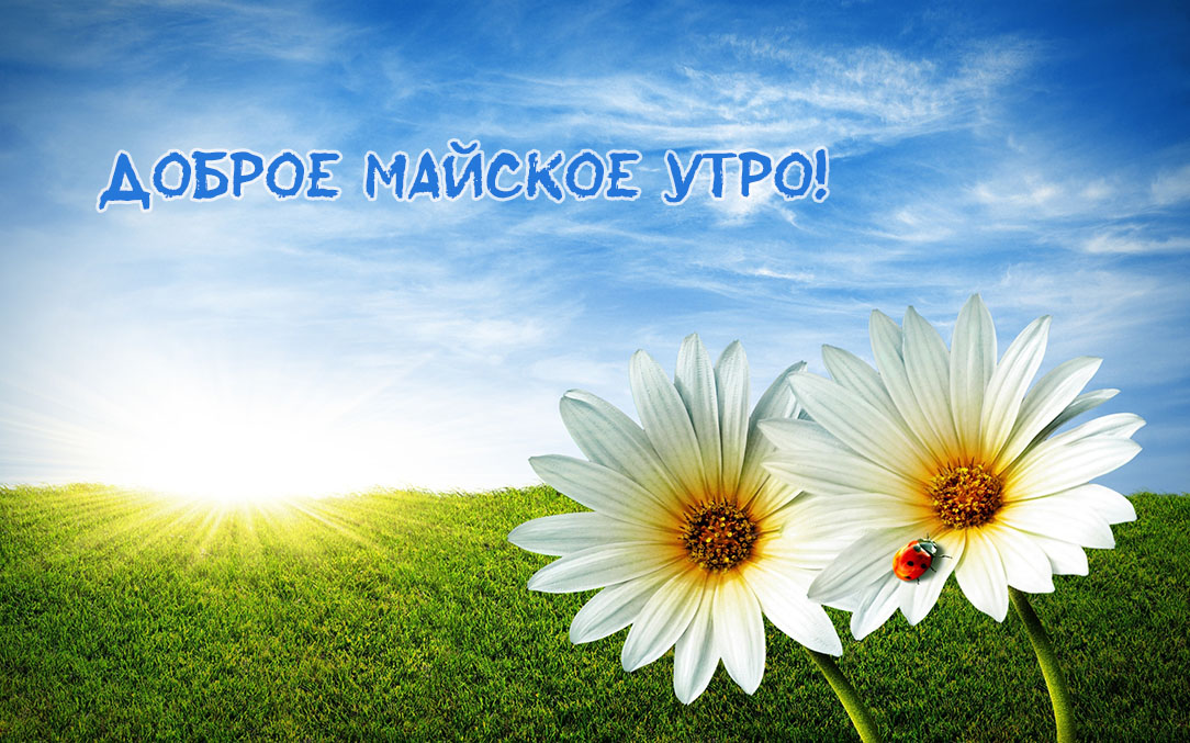 Доброе майское утро