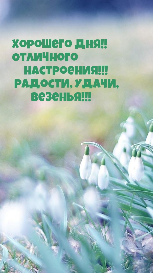 Хорошего дня! Отличного настроения!