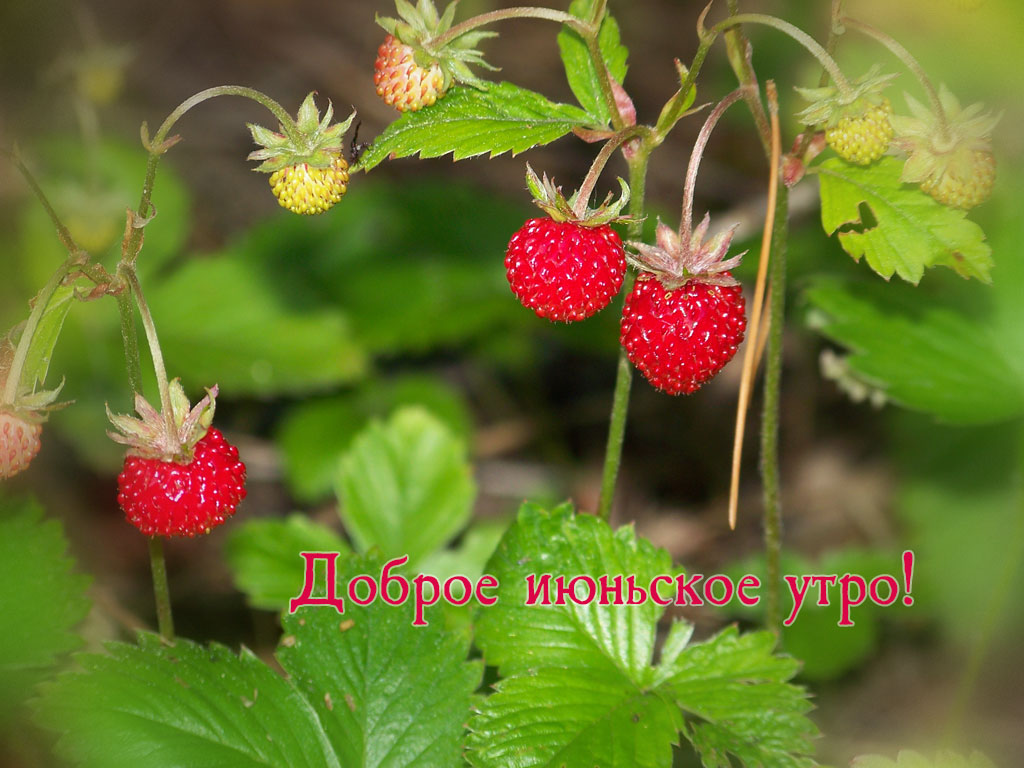 Доброе майское утро!