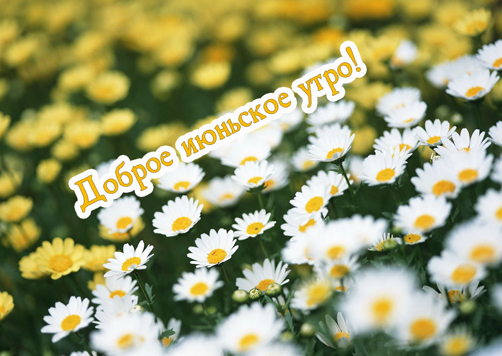 Доброе июньское утро!