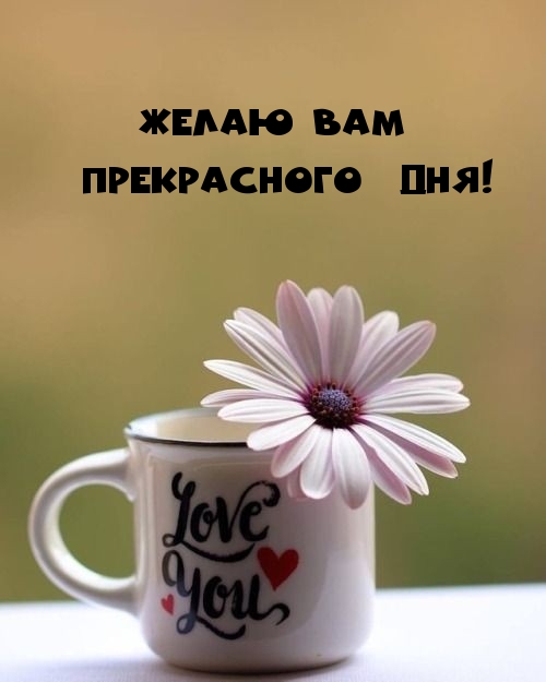Желаю Вам прекрасного дня!