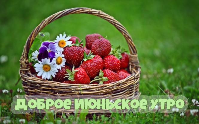 Доброе июньское утро!