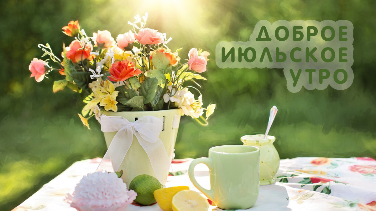 Доброе июльское утро!