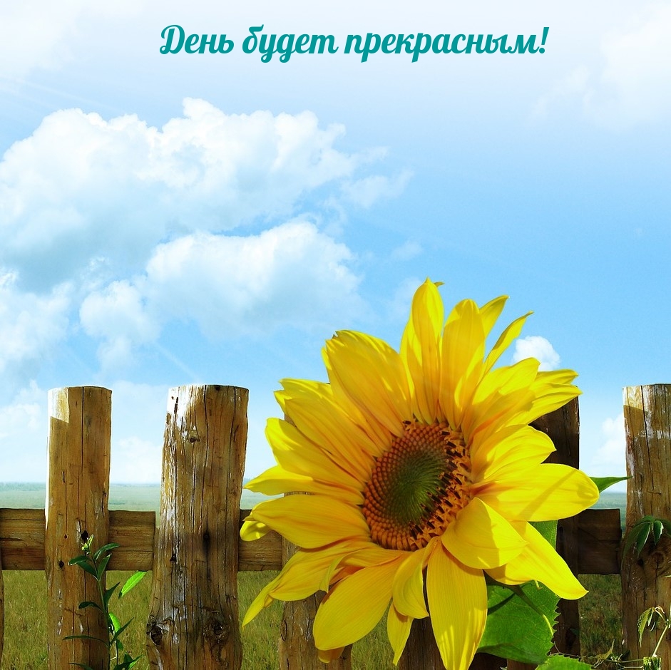 День будет прекрасным!