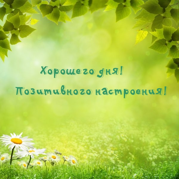 Хорошего дня! Позитивного настроения!