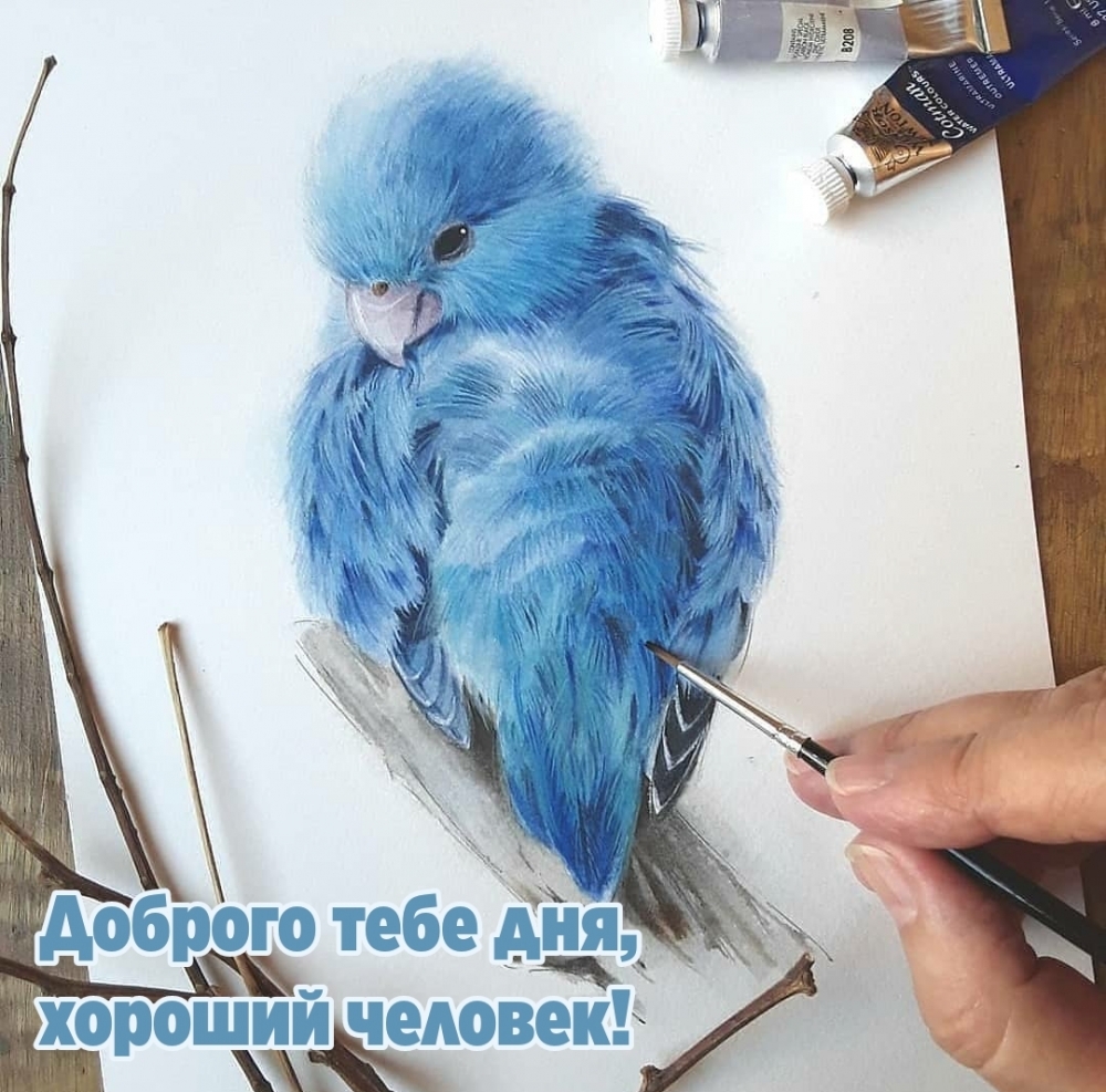 Доброго тебе дня, хороший человек!