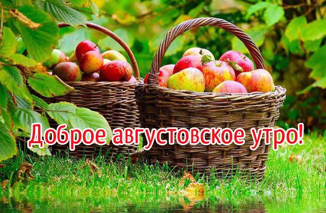 Доброе августовское утро!