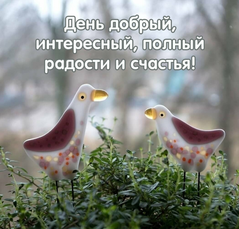 День добрый, интересный, полный радости и счастья!