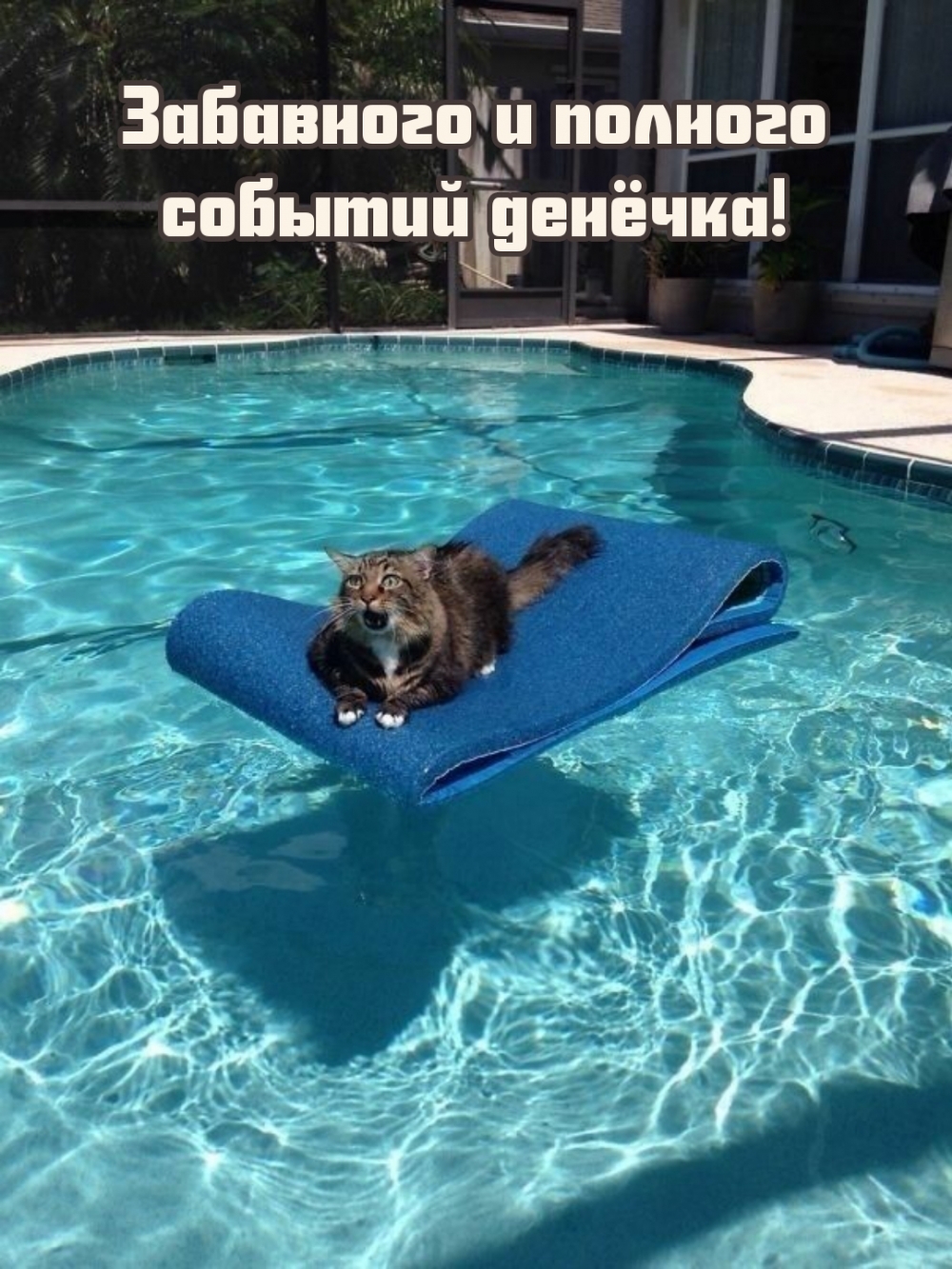 Забавного и полного событий денёчка!