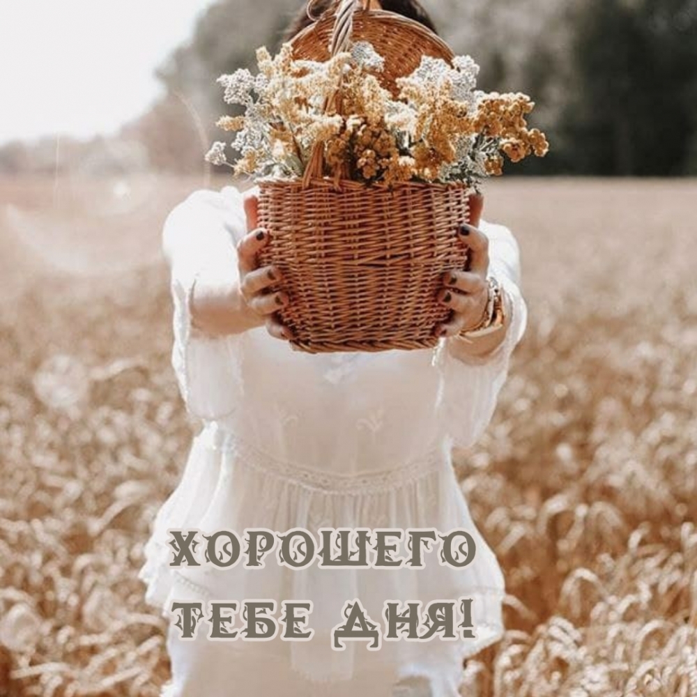 Хорошего тебе дня!