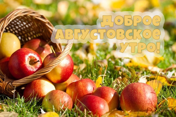 Доброе августовское утро!