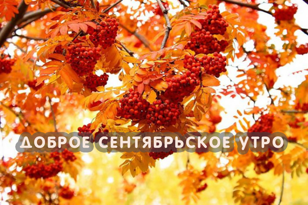 Доброе сентябрьское утро!