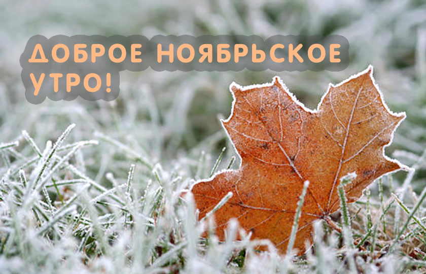 Доброе ноябрьское утро!