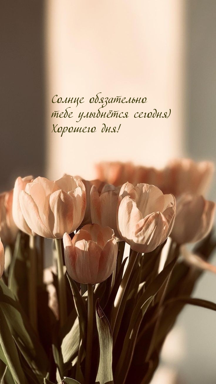 Солнце обязательно тебе улыбнётся сегодня) Хорошего дня!