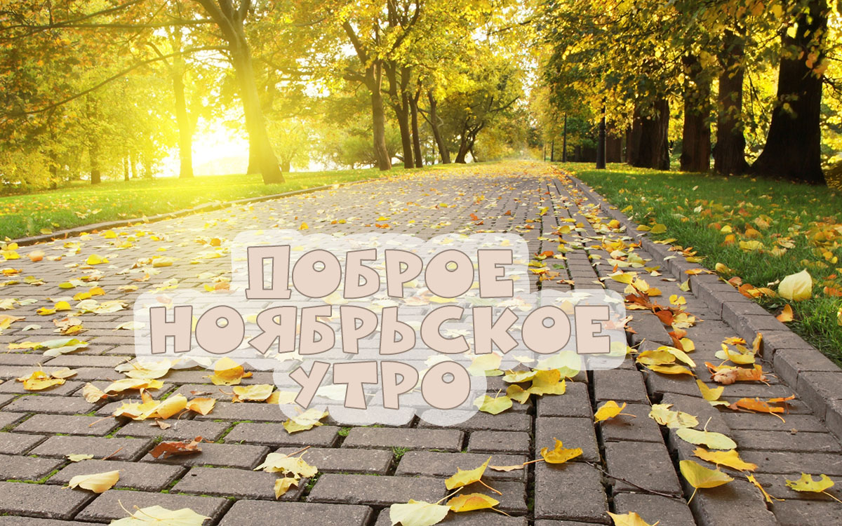 Доброе ноябрьское утро!