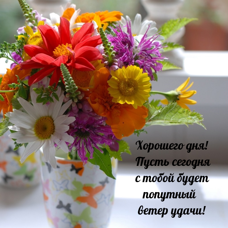 Хорошего дня! Пусть сегодня с тобой будет попутный ветер удачи!