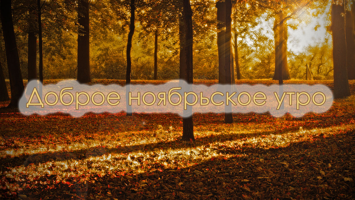 Доброго ноябрьского утра!