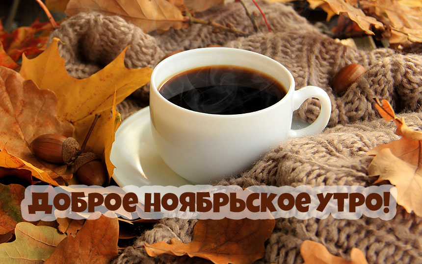Доброе ноябрьское утро!