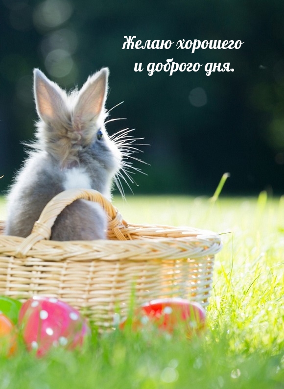 Желаю хорошего и доброго дня.