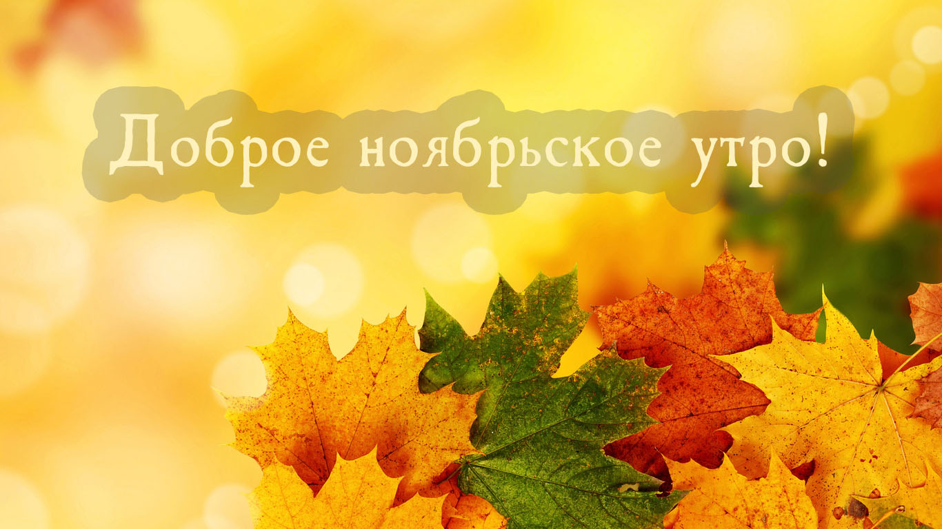 Доброе ноябрьское утро!
