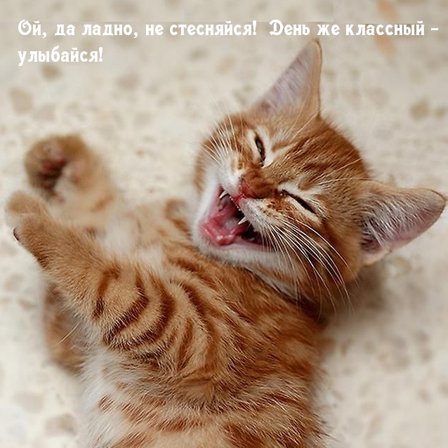 Ой, да ладно, не стесняйся! День же классный — улыбайся!