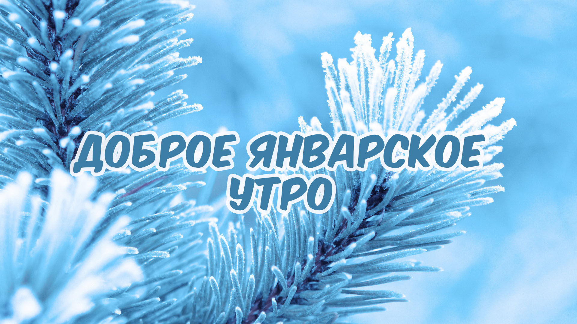 Доброе январское утро!