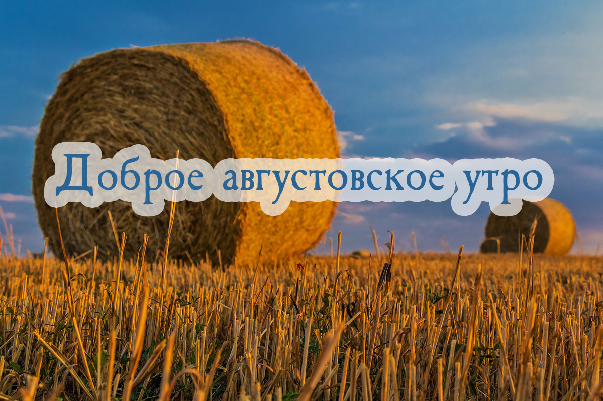 Доброе августовское утро!