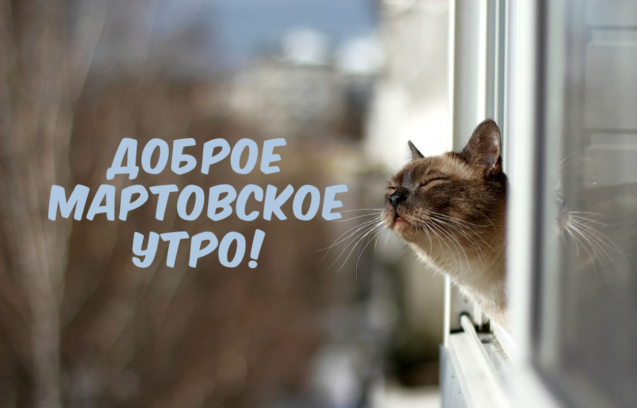 Доброе мартовское утро!